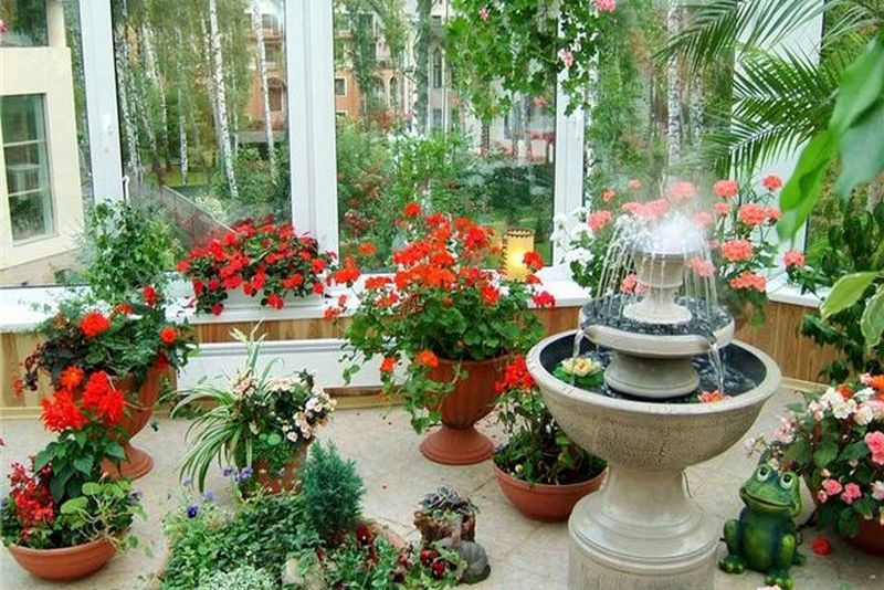 В каких случаях нельзя удобрять комнатные растения