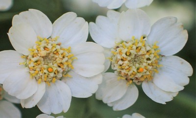 фото 19463_4