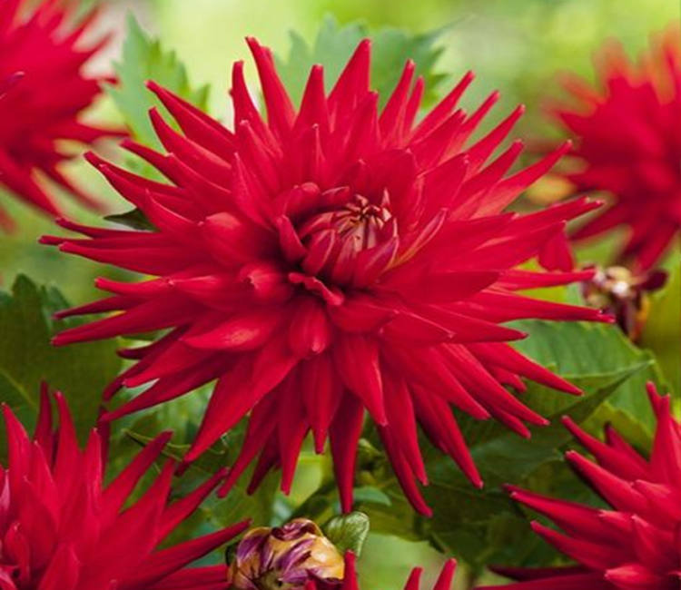 фото 26414_3