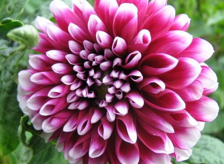 фото 26677_3